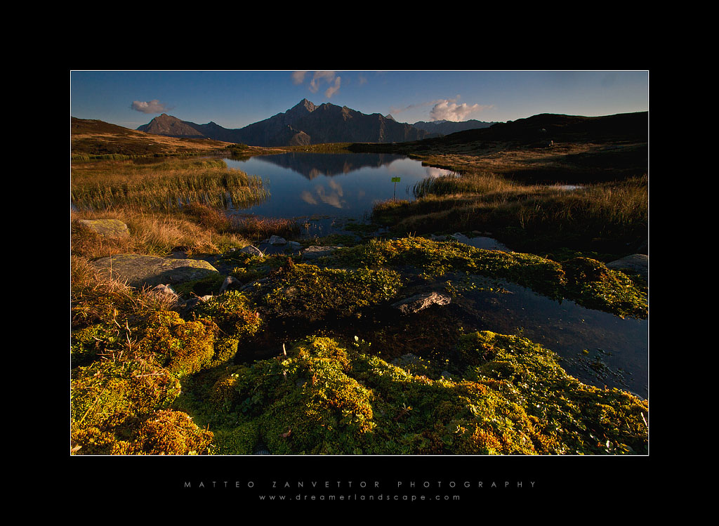 Structure of Ambient Life