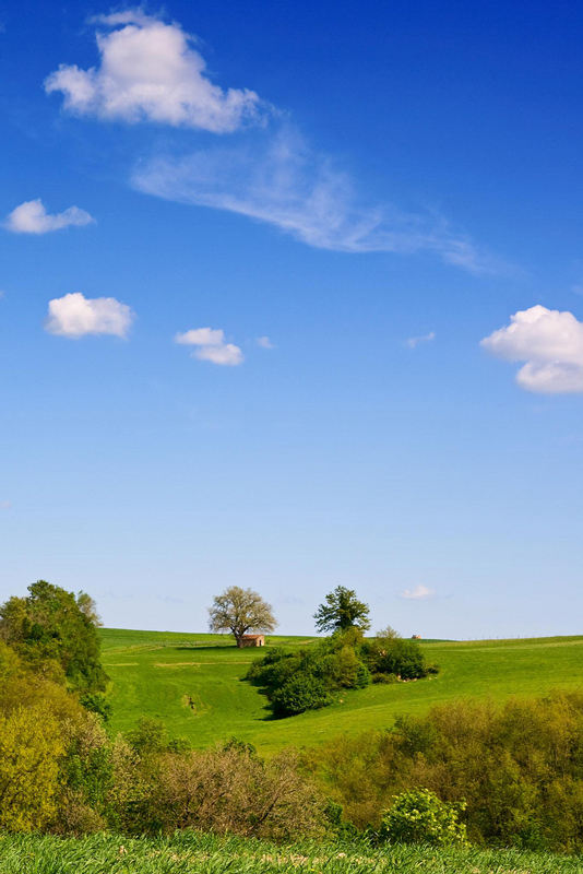 Semplicit� in campagna