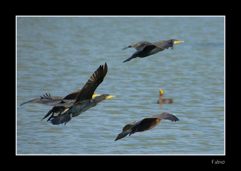 Pattuglia acrobatica