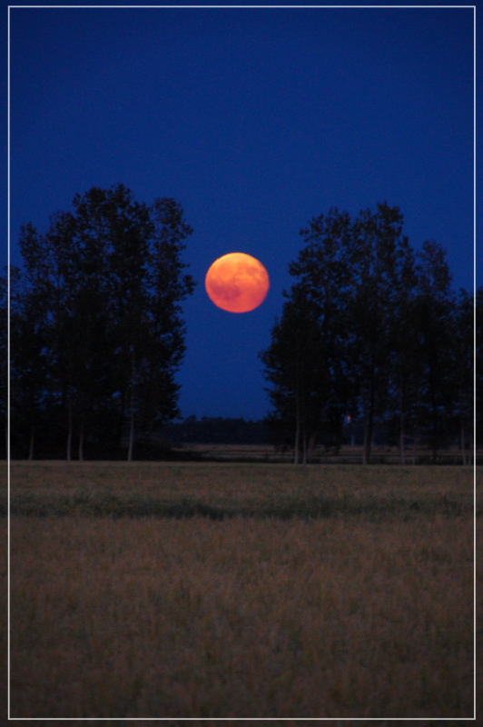 La luna del raccolto