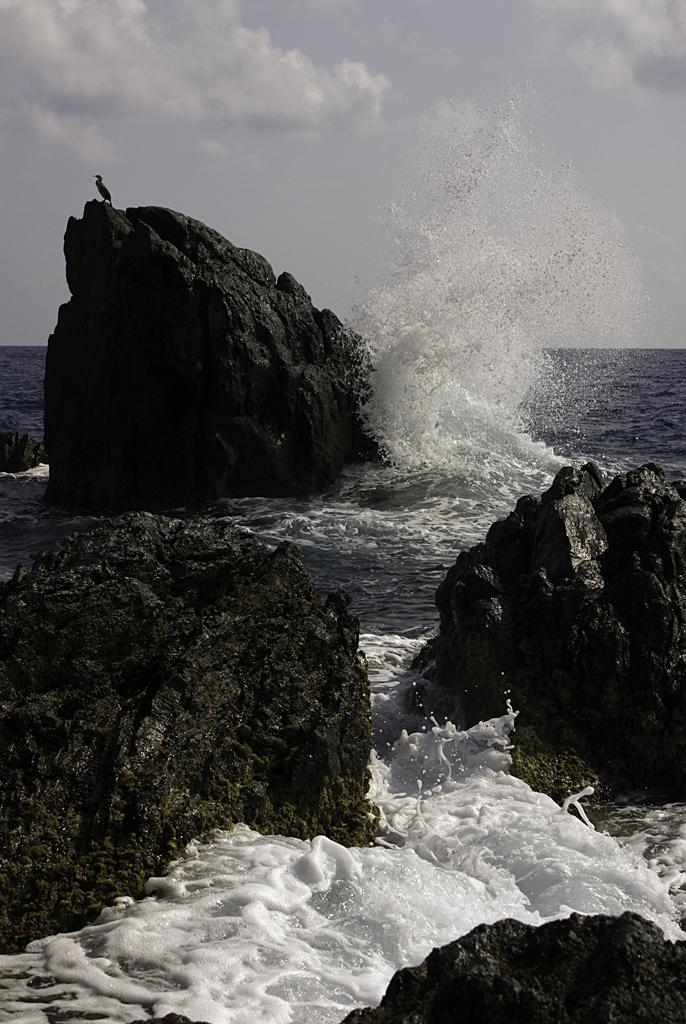 Come puo' uno scoglio arginare il mare?