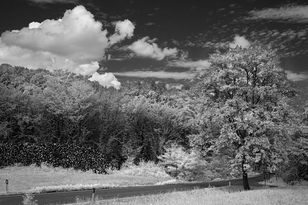 Paesaggio IR (2)