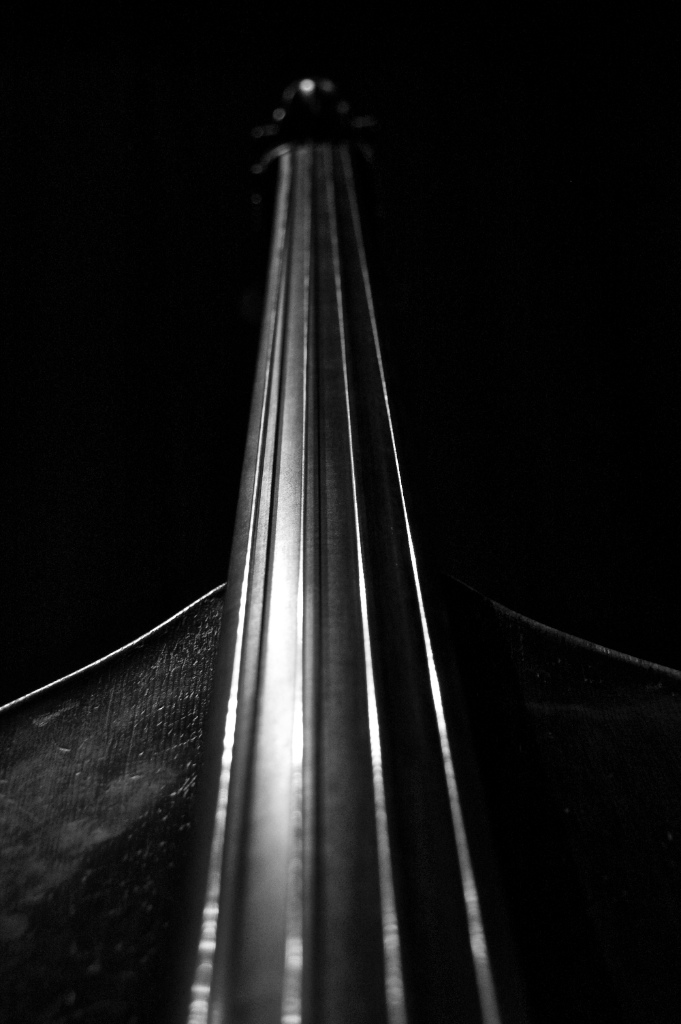 Dark Contrabass