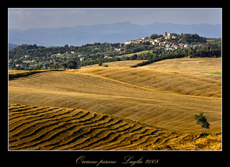 Orciano Pisano