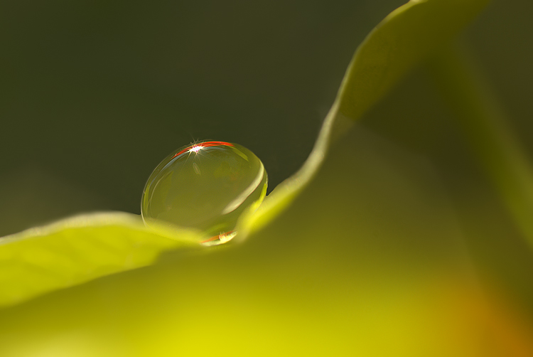 Sospesa nel mio mondo colorato