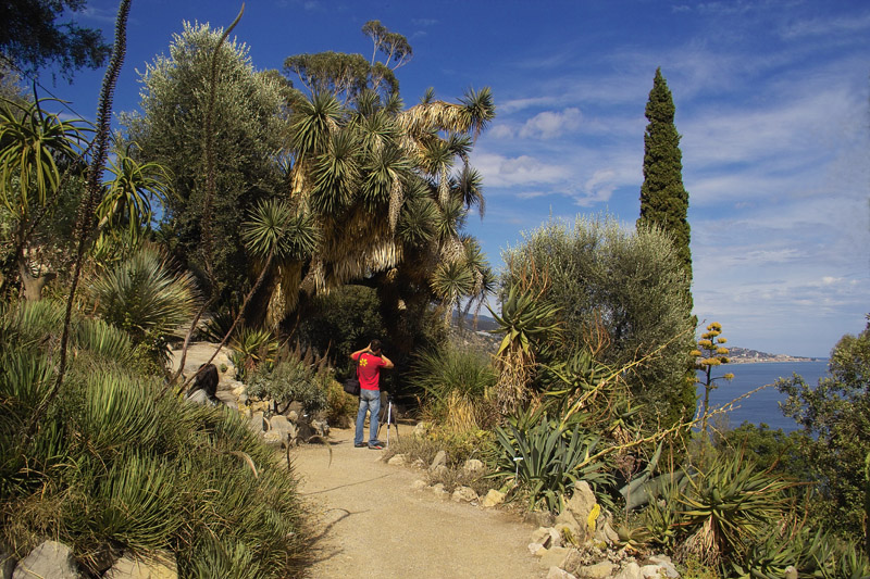 Giardini Hambury N�1