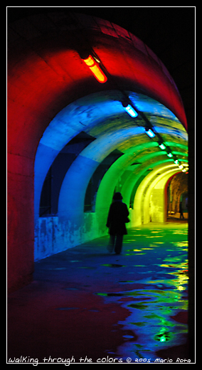 Walking trough the colors