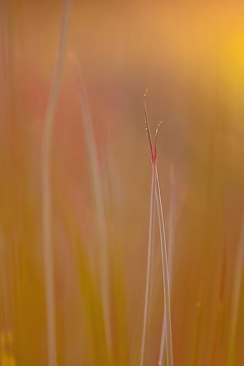 la descrizione di un attimo