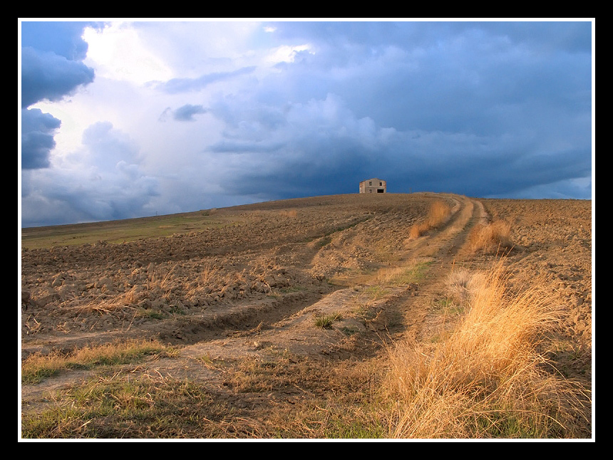 ...PROFUMO DI PIOGGIA...