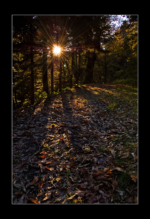 E Mi Fermo a Guardare...