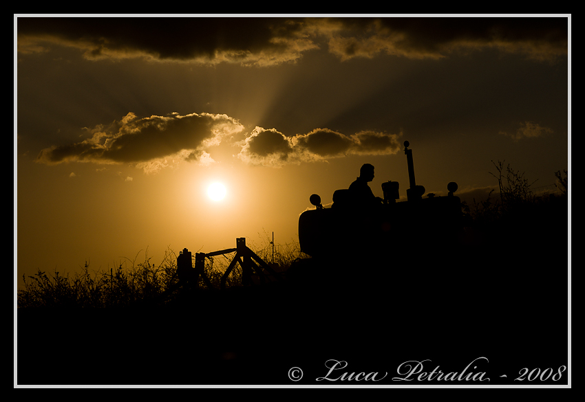 Arando al Tramonto