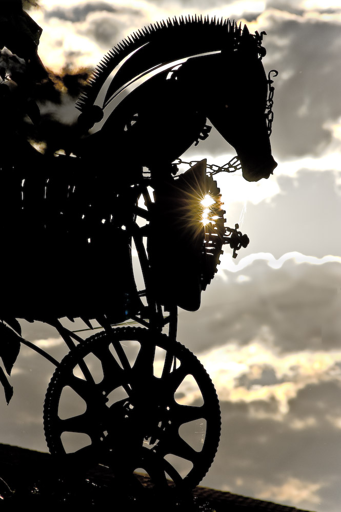 Bucefalo - mad horse