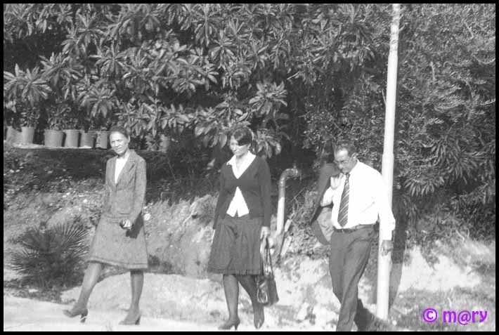 Walking on the street