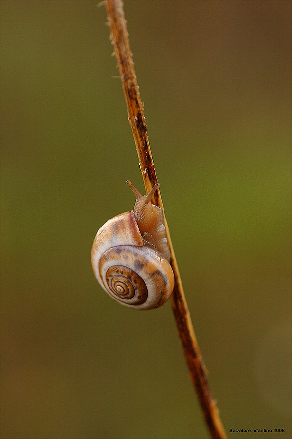 ...vado di fretta...