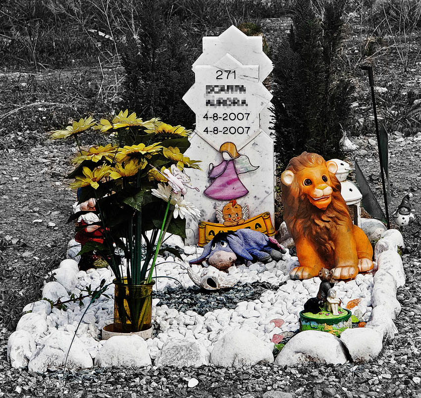 tutta la vita in un giorno