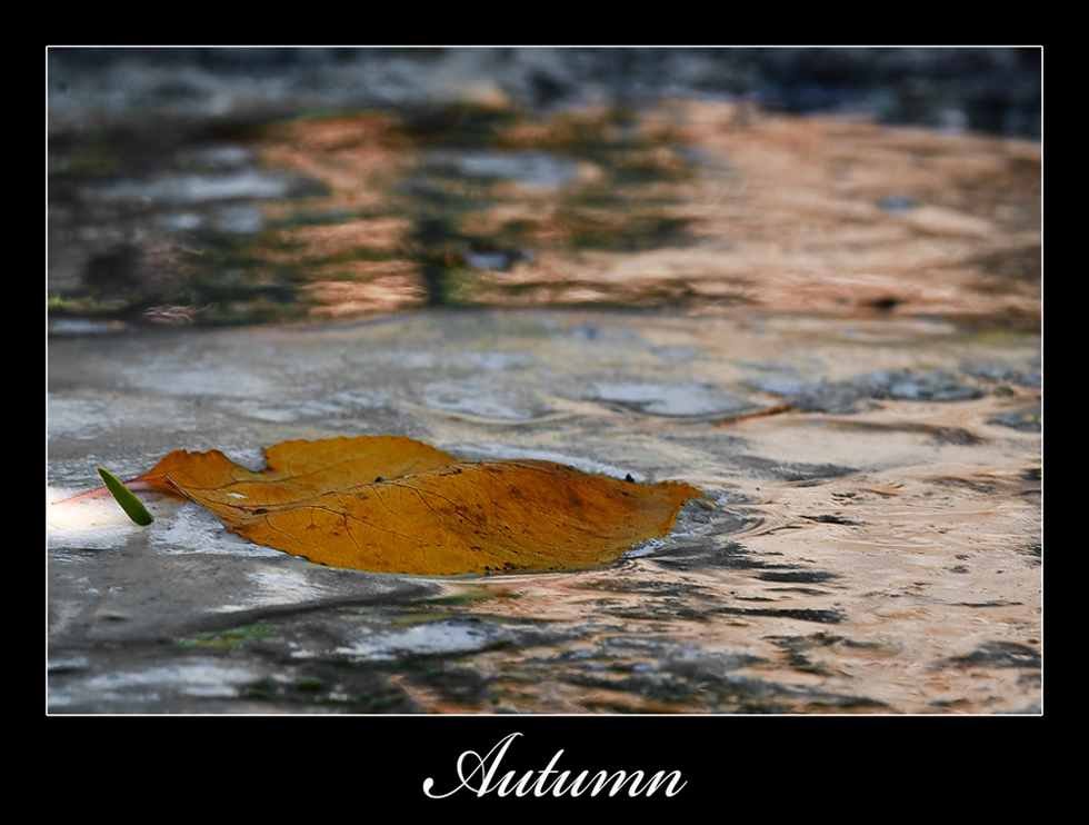autunno