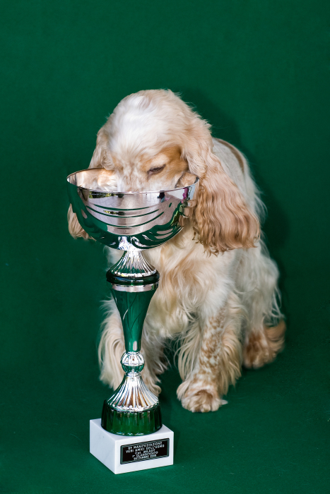 che bella questa ciotola!! � mia?!?