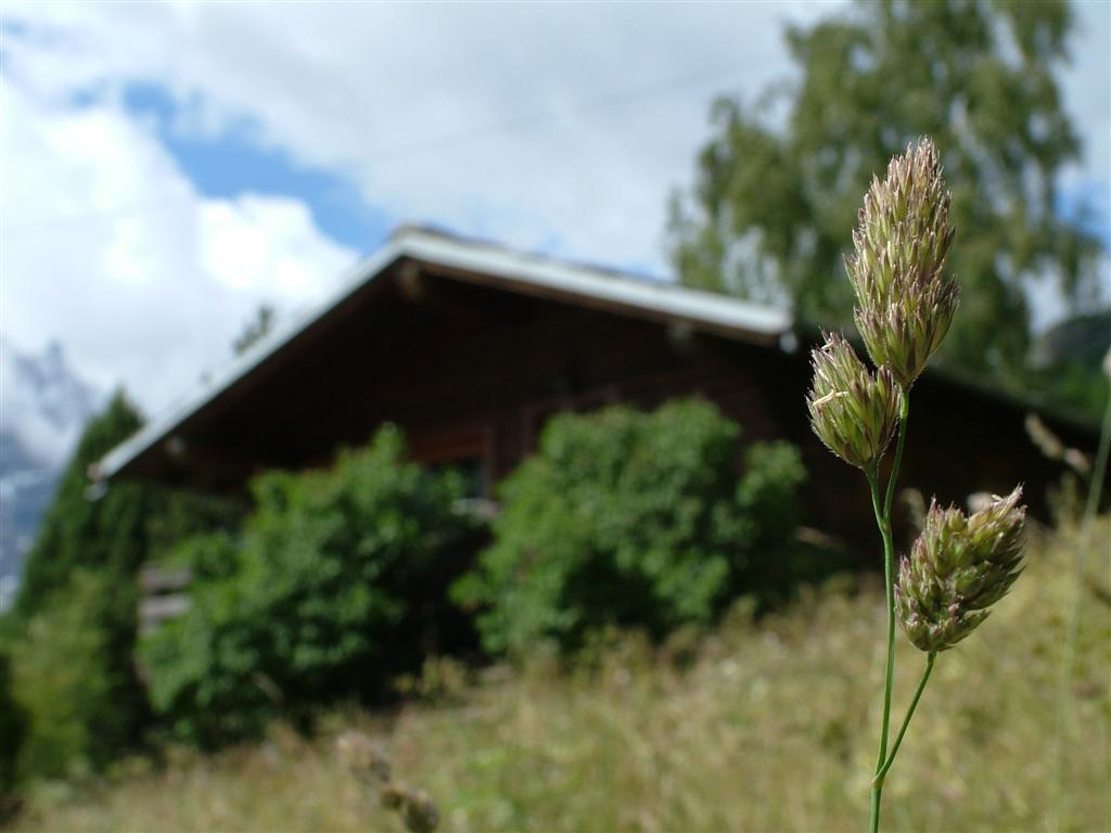 Chalet immerso nei fieni....