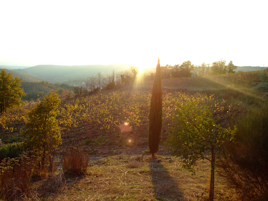 Tramonto del Chianti