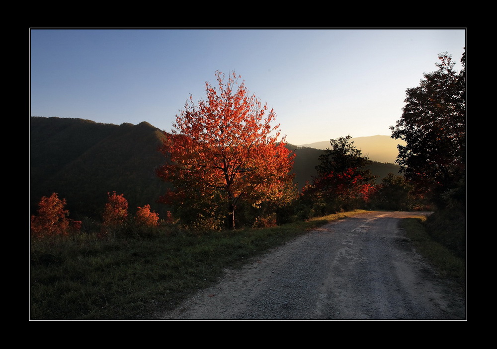 Luce d'Autunno
