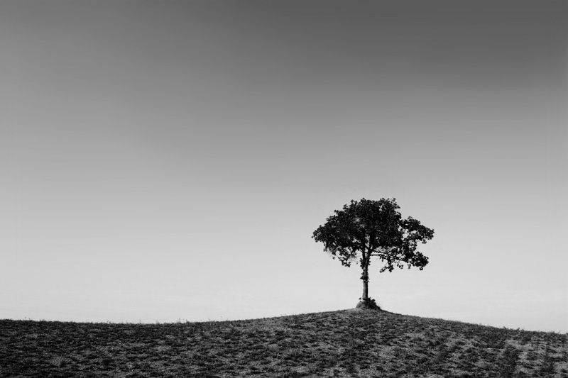 solo in bianco e nero