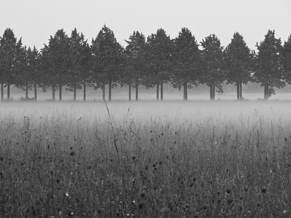 Le prime ore del mattino..