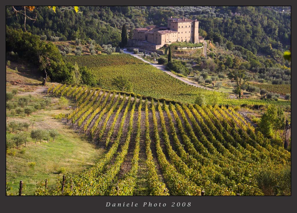 castello & vigna