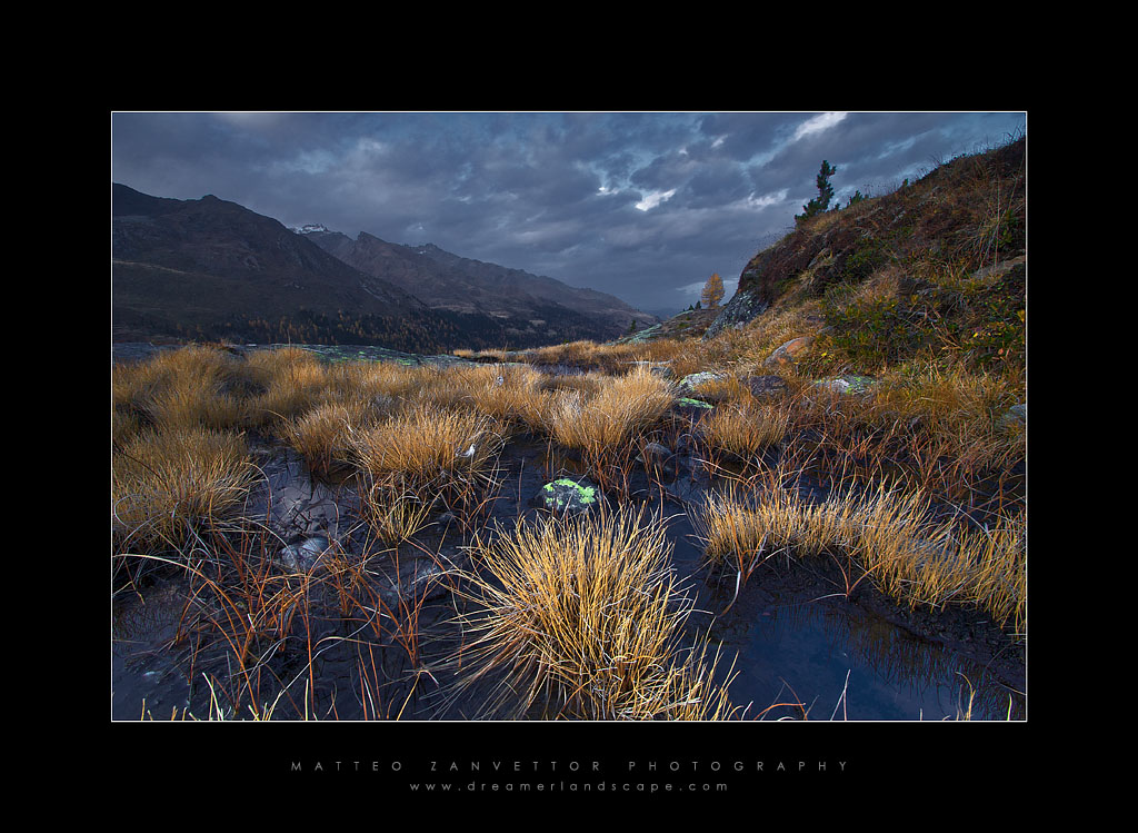 The Land of  Golden Grass