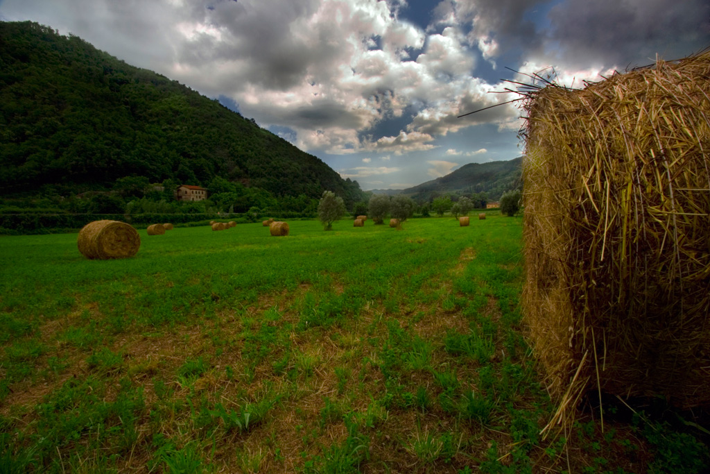 "Prateria" nella val di bisenzio (PO)