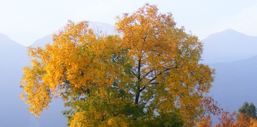 Autunno