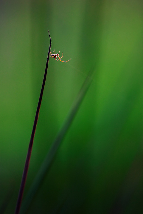 Tessitore d'inquietudine