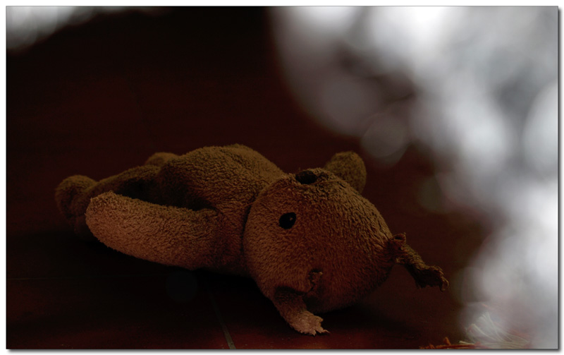 Spiando l'orsetto...nascosta...