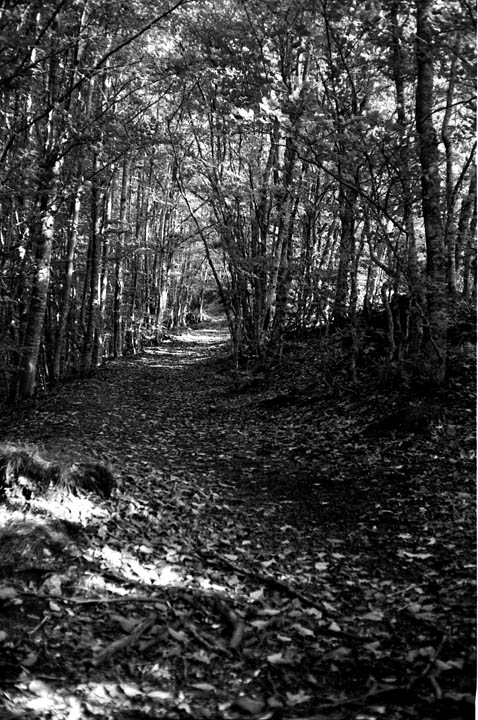 Due passi per l'appennino Pistoiese