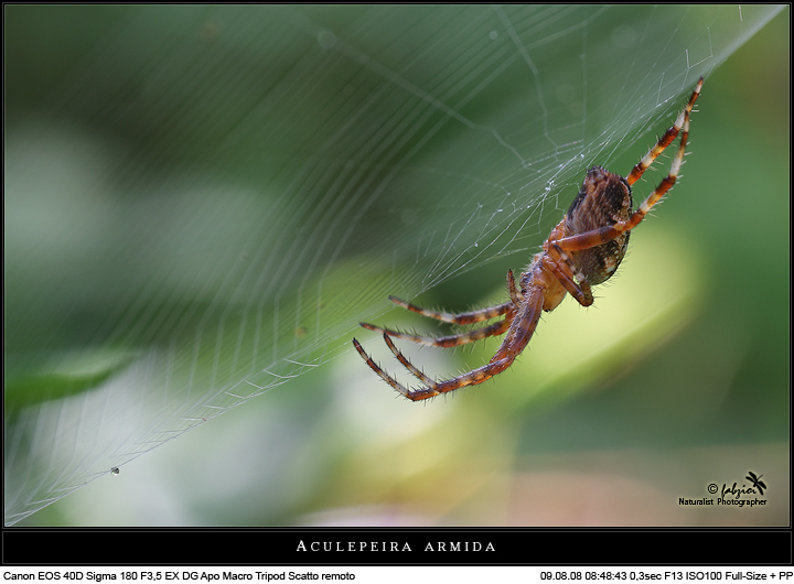 do not touch my Dew!