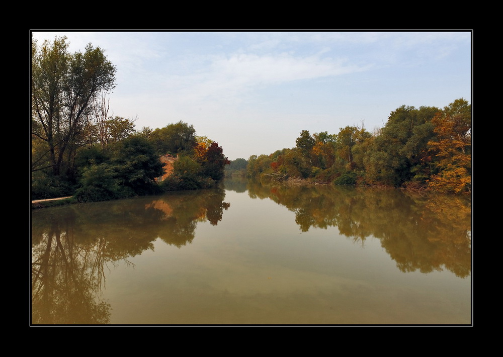 Autunno a Punte Alberete