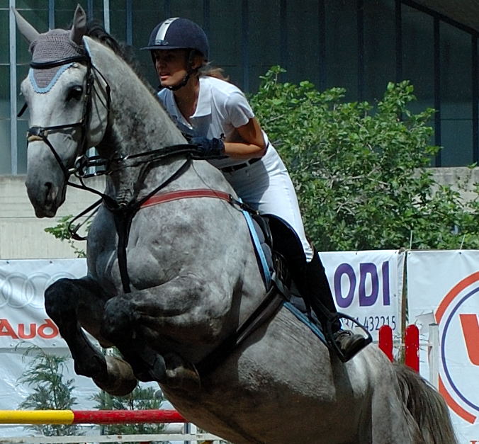 Salto