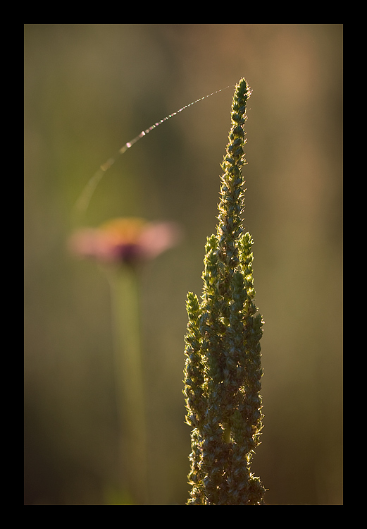 Nature communication