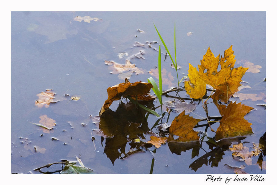 L'autunno alle porte