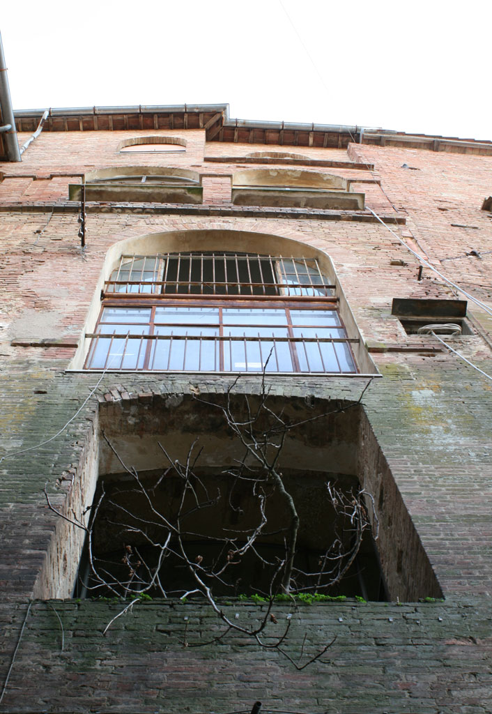 albero dalla finestra