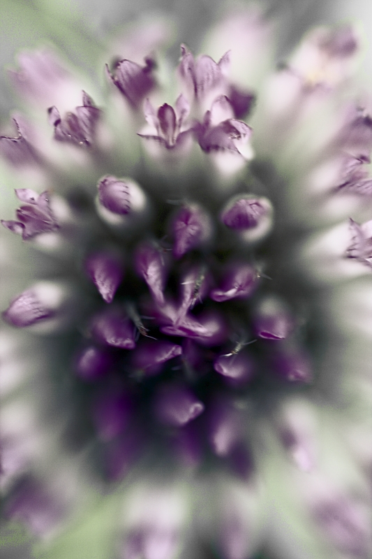 La Bellezza Nasce Anche Dal Buio