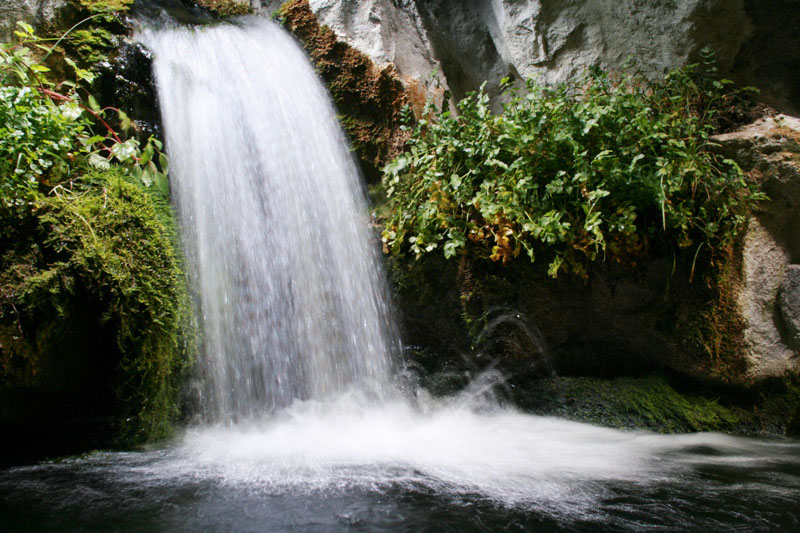 Precipitevolissimevolmente...