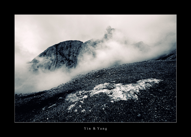 YIN & YANG