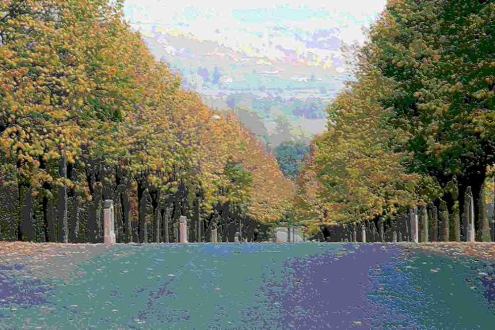 Viale autunnale.In versione...topografica