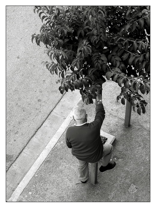 L'uomo che amava stare comodo  (miniserie)