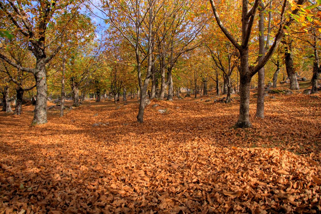 autunno........