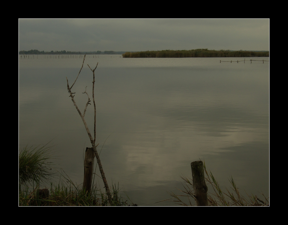 Anticipo di Novembre