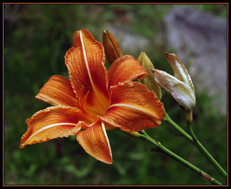 i colori dell'autunno