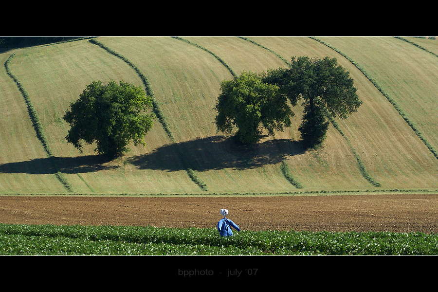 tre alberi e un pupazzo