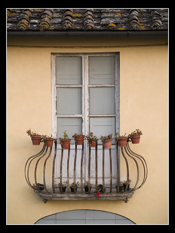 Sfioriscono i fiori...