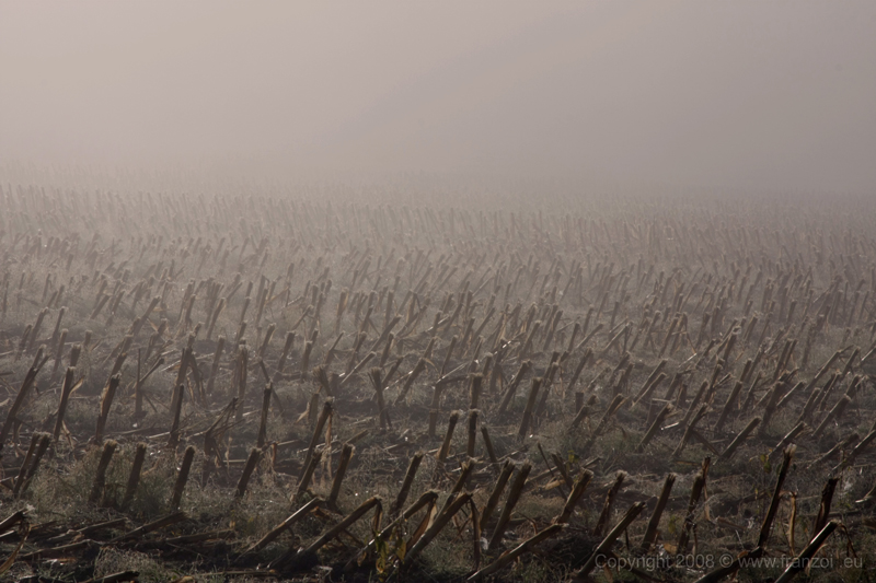 FINALMENTE ARRIVA IL SOLE